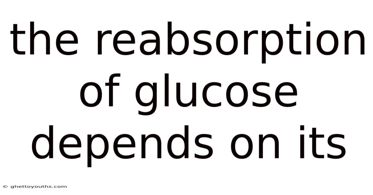 The Reabsorption Of Glucose Depends On Its