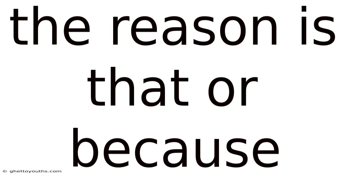 The Reason Is That Or Because