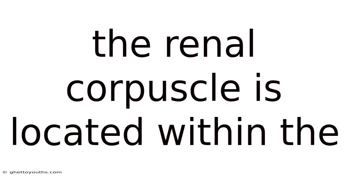 The Renal Corpuscle Is Located Within The