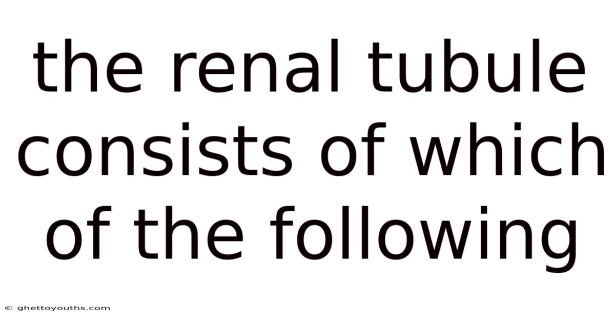 The Renal Tubule Consists Of Which Of The Following