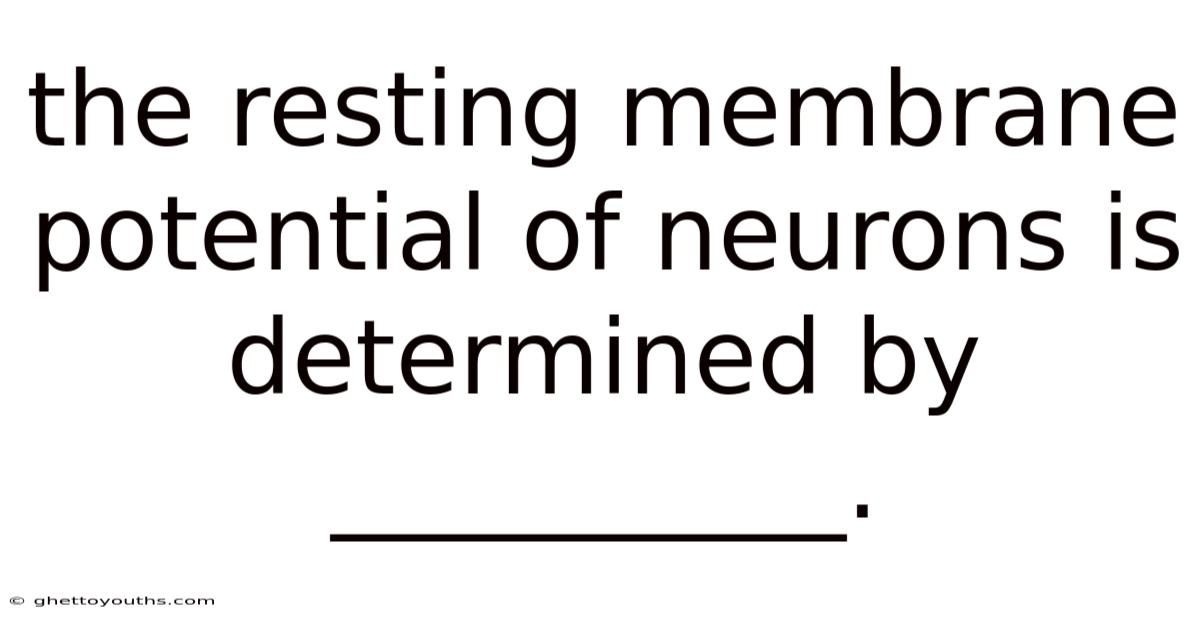 The Resting Membrane Potential Of Neurons Is Determined By __________.