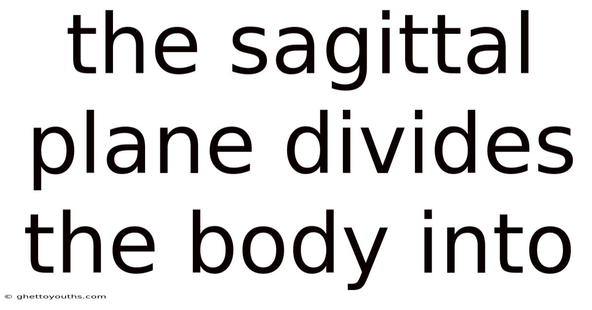 The Sagittal Plane Divides The Body Into