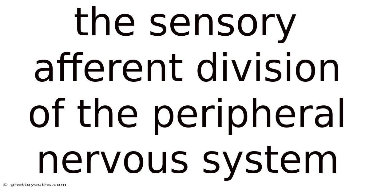 The Sensory Afferent Division Of The Peripheral Nervous System