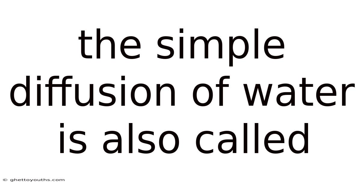 The Simple Diffusion Of Water Is Also Called
