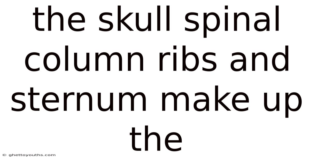 The Skull Spinal Column Ribs And Sternum Make Up The