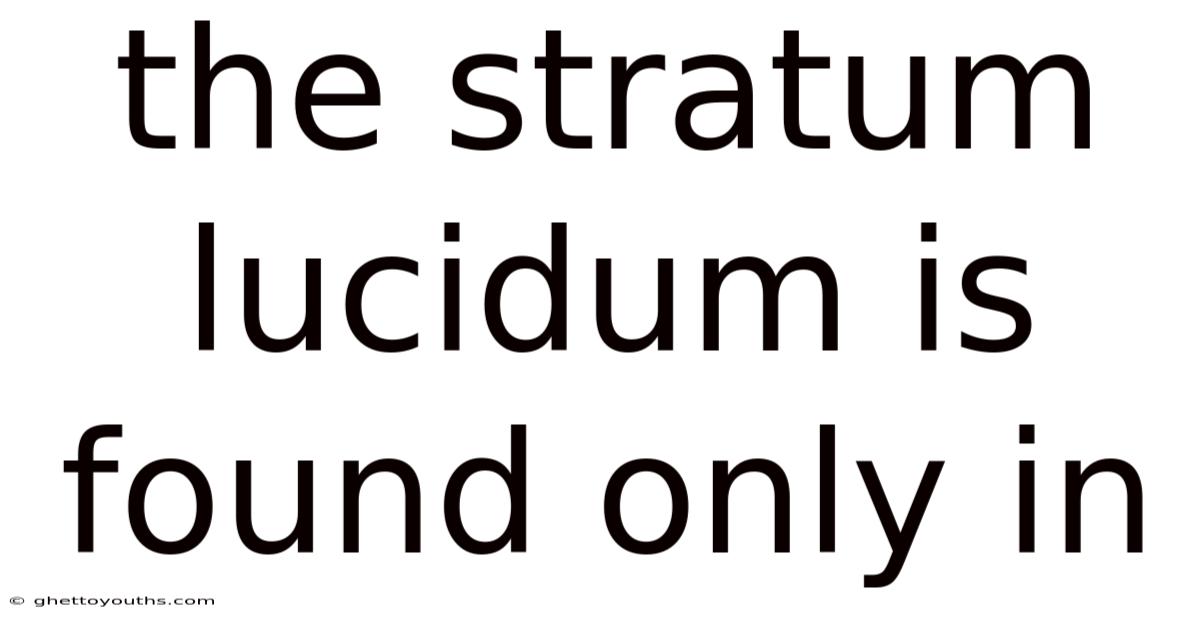 The Stratum Lucidum Is Found Only In