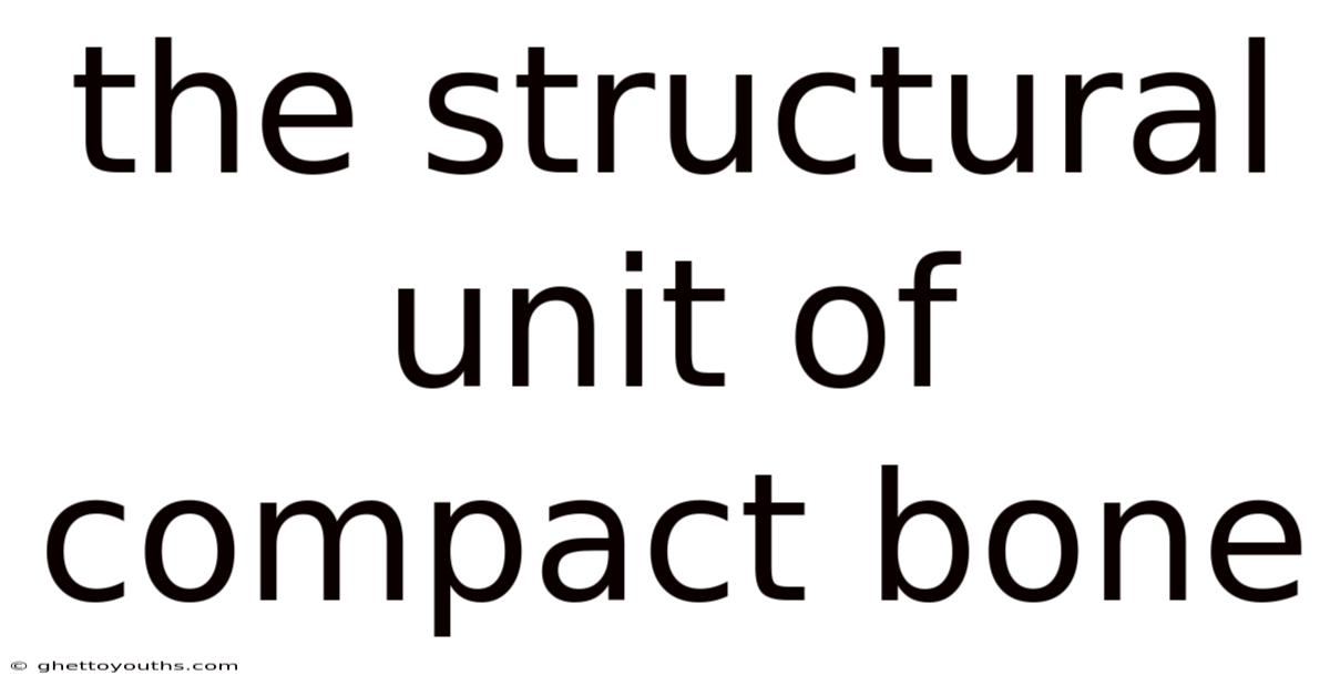 The Structural Unit Of Compact Bone