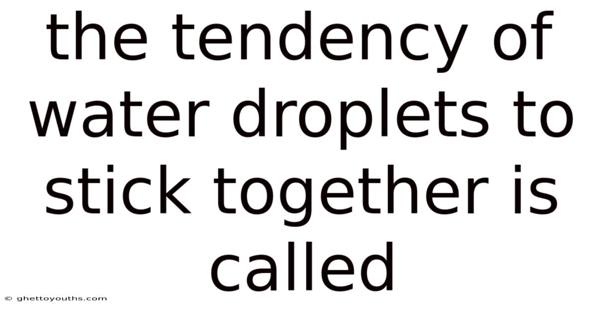 The Tendency Of Water Droplets To Stick Together Is Called