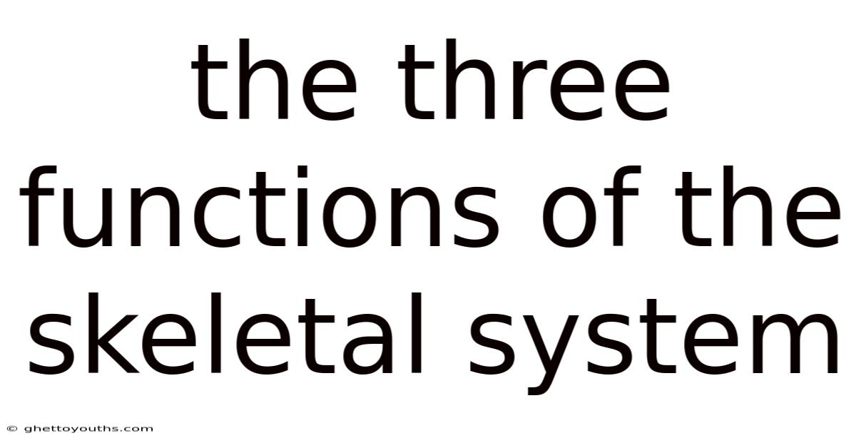 The Three Functions Of The Skeletal System