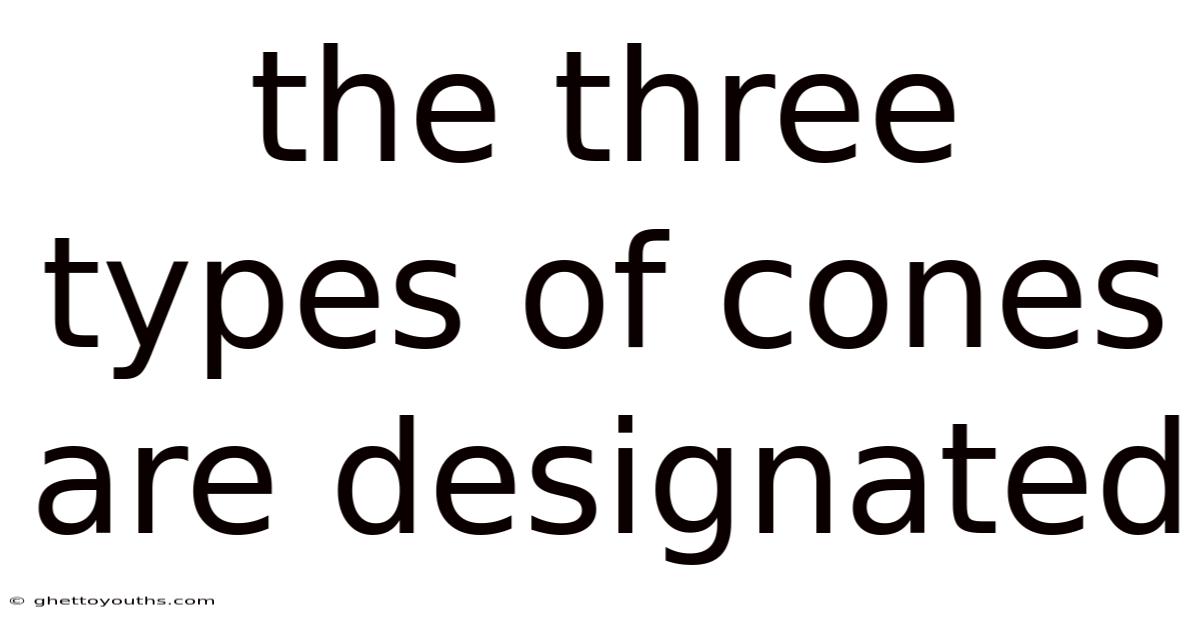 The Three Types Of Cones Are Designated