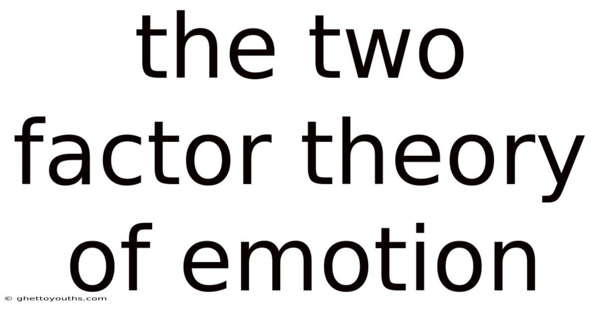 The Two Factor Theory Of Emotion