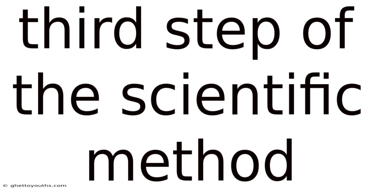 Third Step Of The Scientific Method
