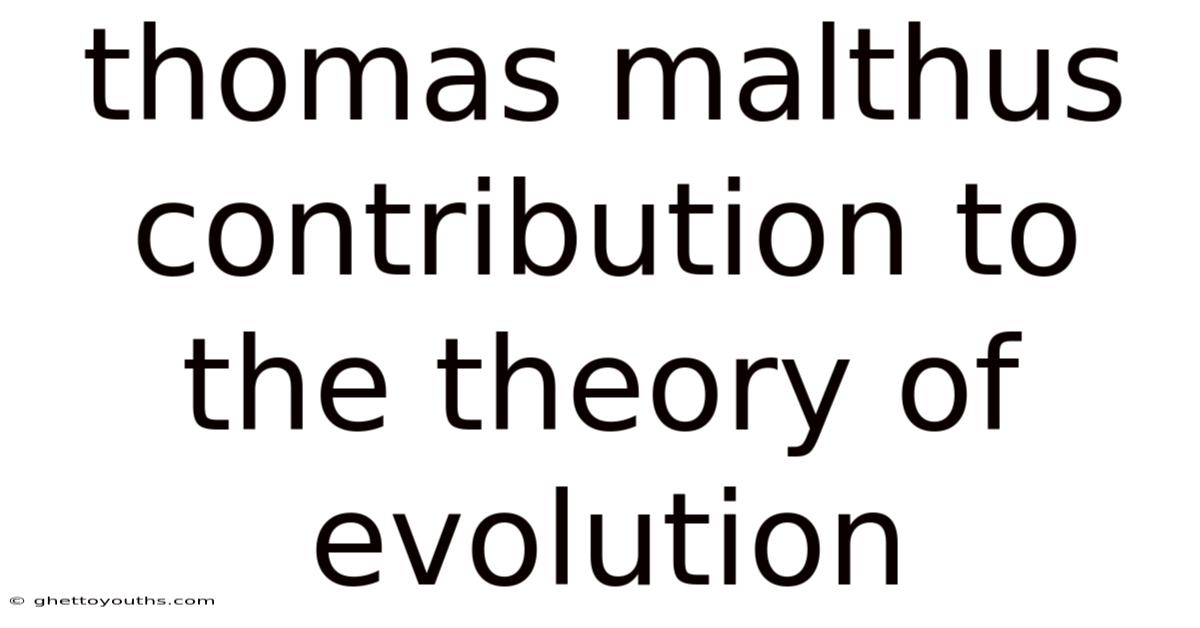 Thomas Malthus Contribution To The Theory Of Evolution