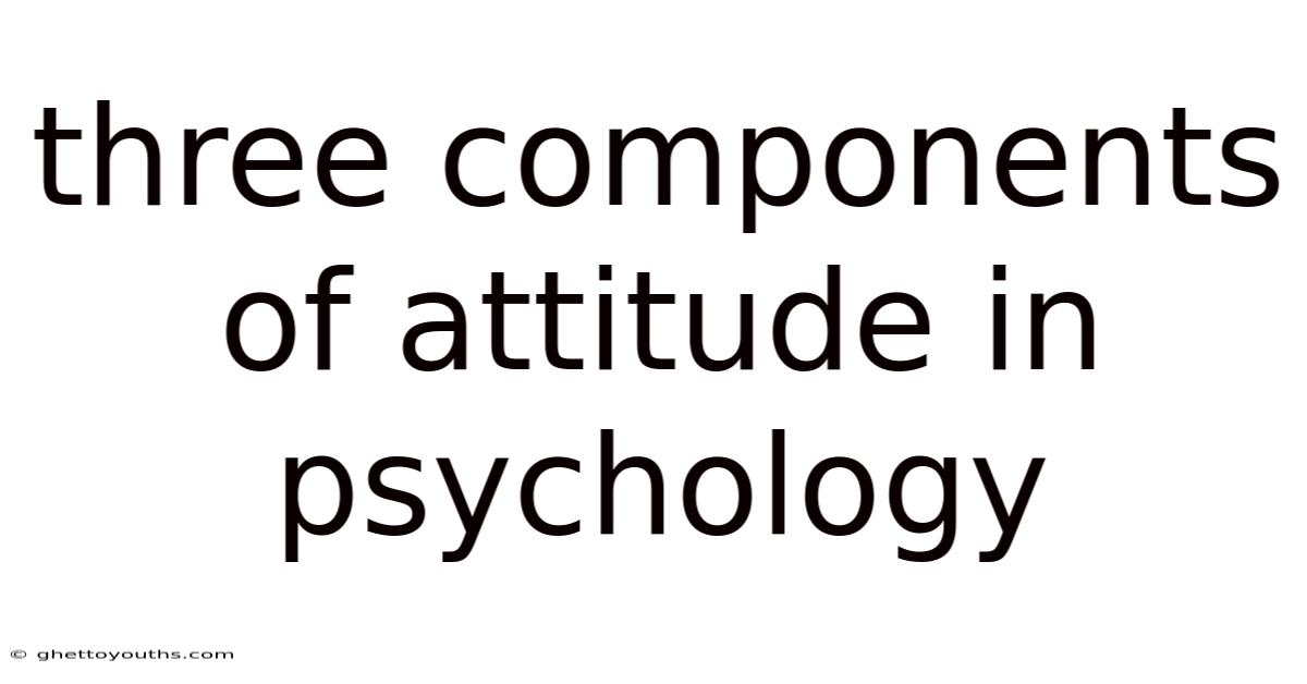 Three Components Of Attitude In Psychology