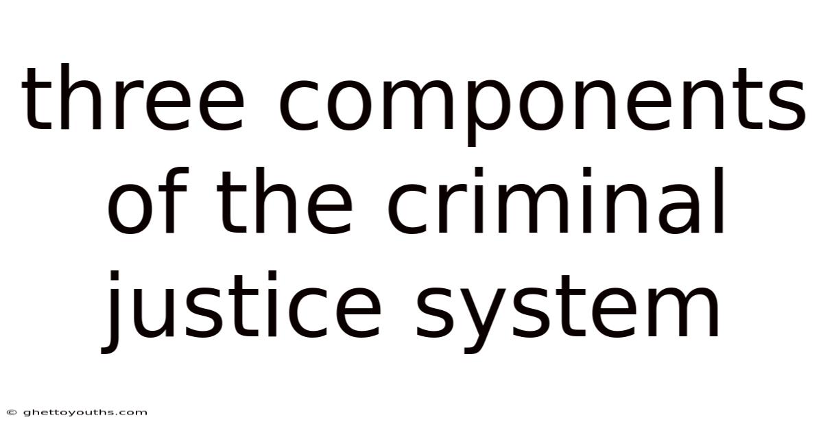 Three Components Of The Criminal Justice System