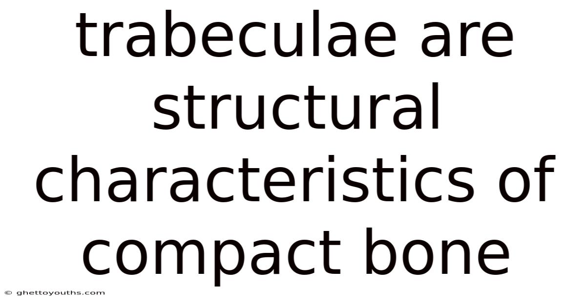 Trabeculae Are Structural Characteristics Of Compact Bone