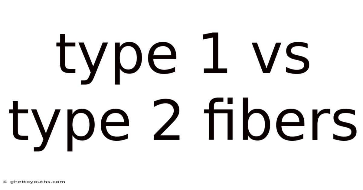 Type 1 Vs Type 2 Fibers