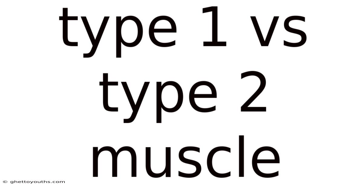 Type 1 Vs Type 2 Muscle