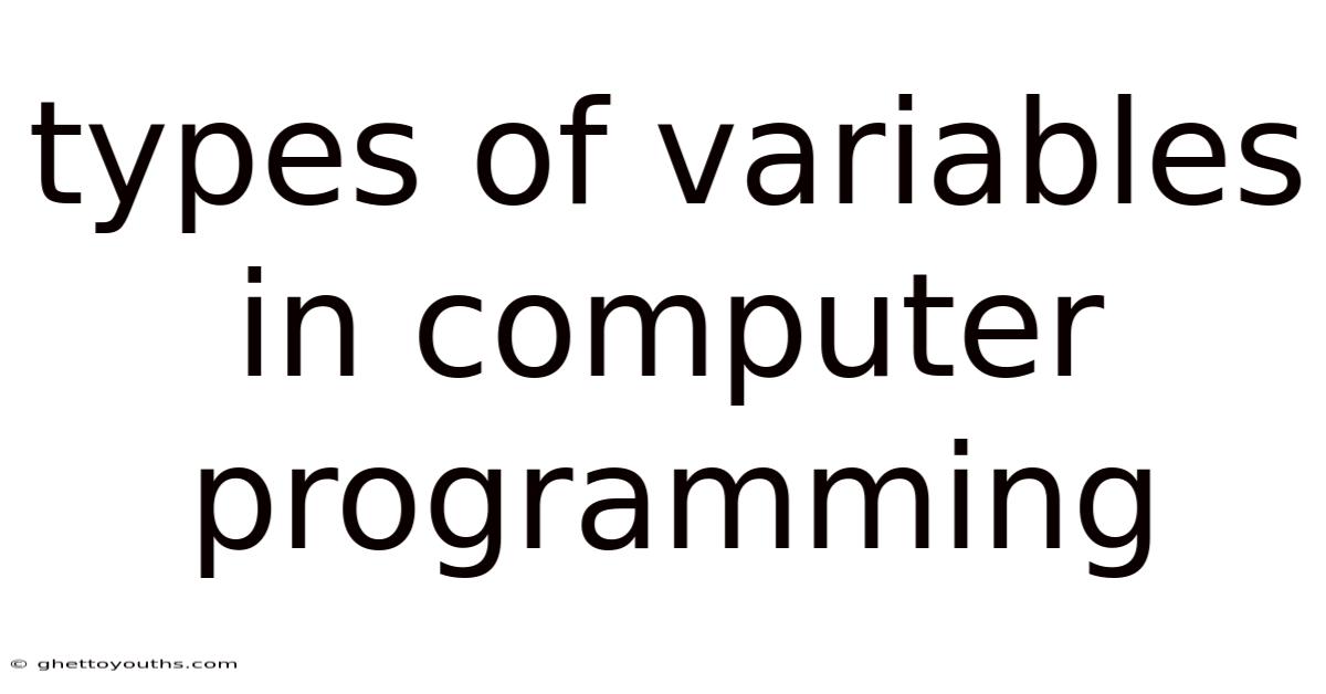 Types Of Variables In Computer Programming