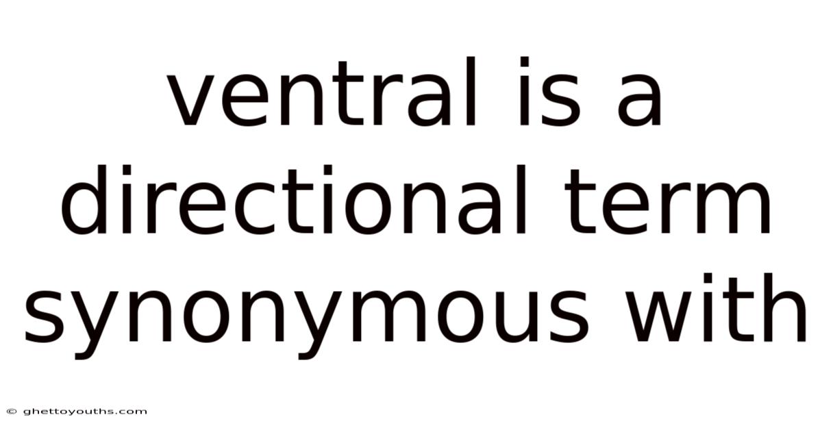Ventral Is A Directional Term Synonymous With