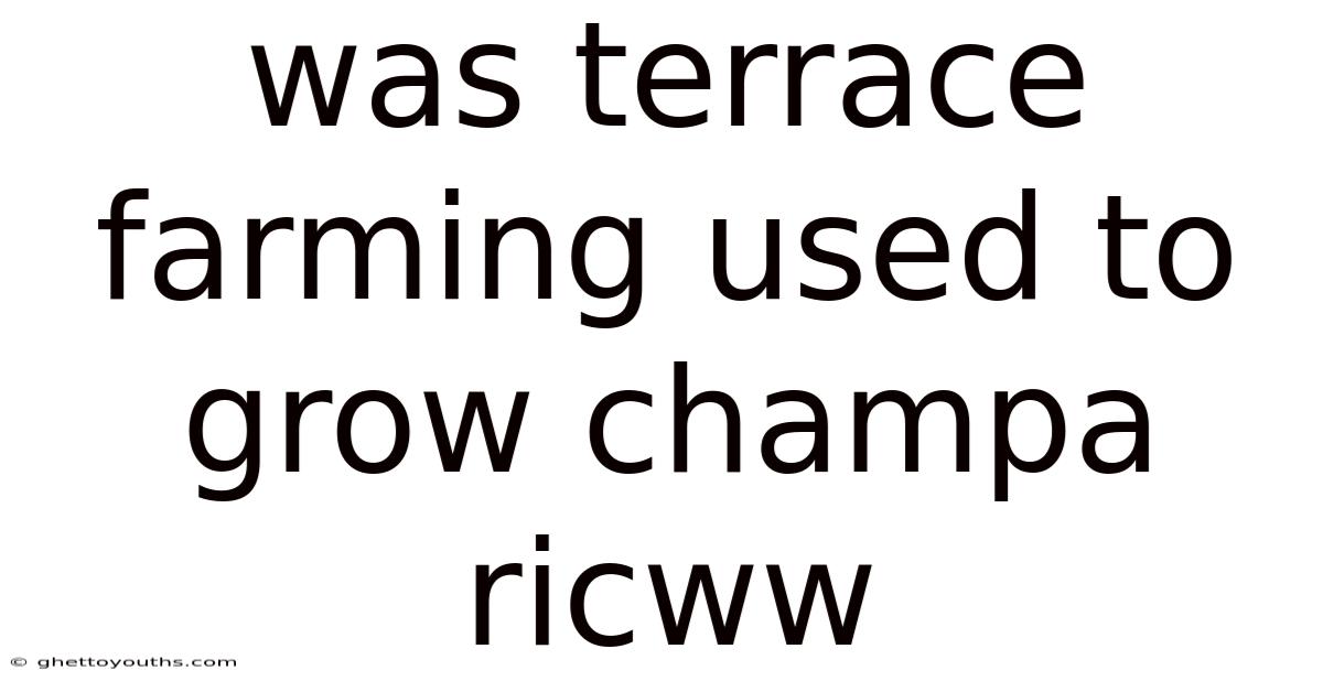 Was Terrace Farming Used To Grow Champa Ricww
