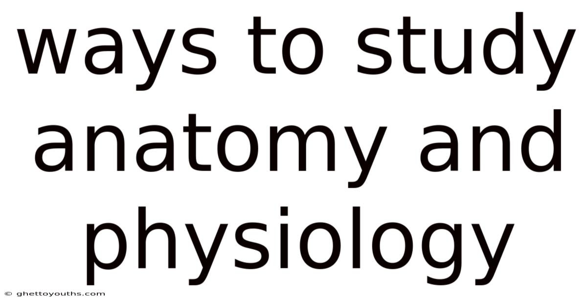 Ways To Study Anatomy And Physiology