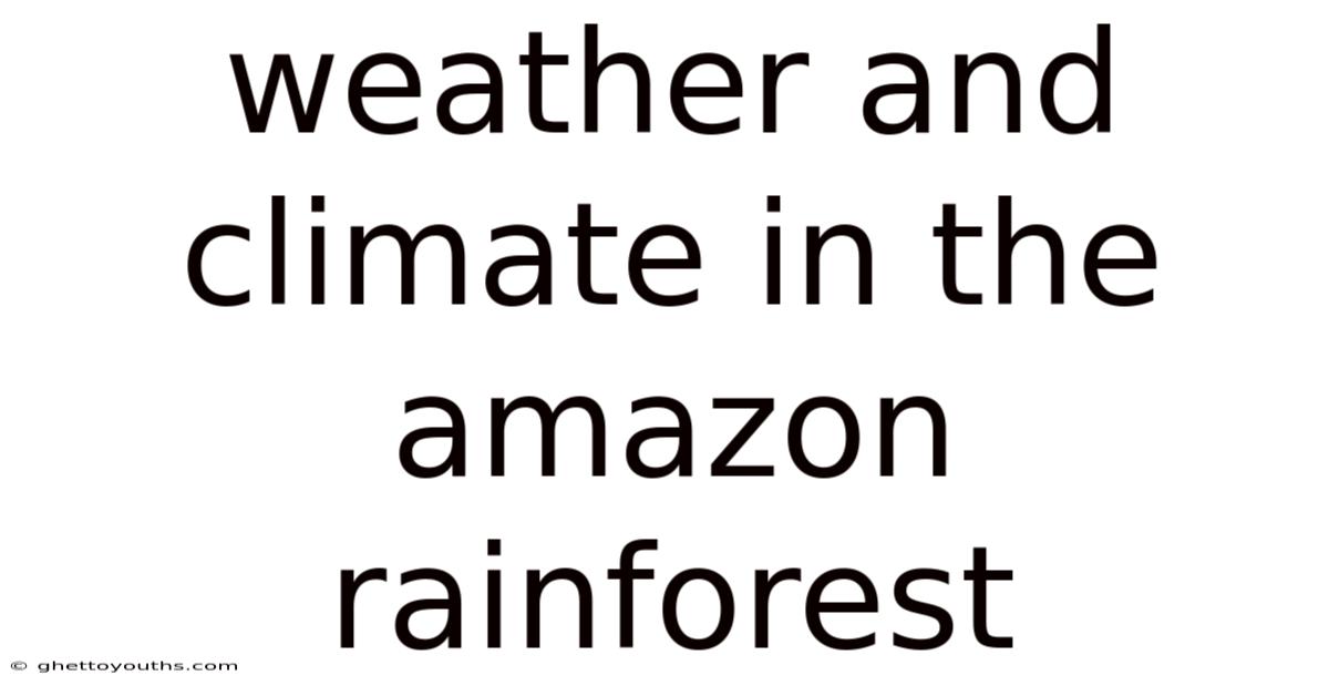 Weather And Climate In The Amazon Rainforest