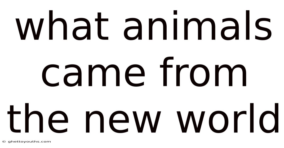 What Animals Came From The New World