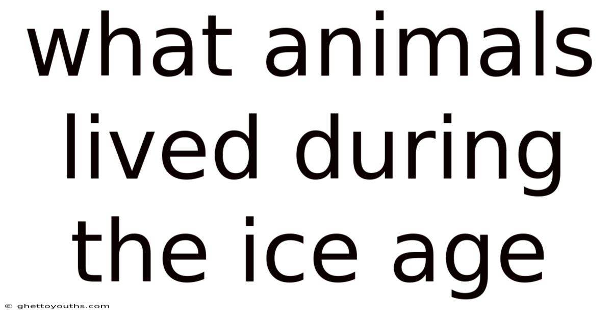 What Animals Lived During The Ice Age