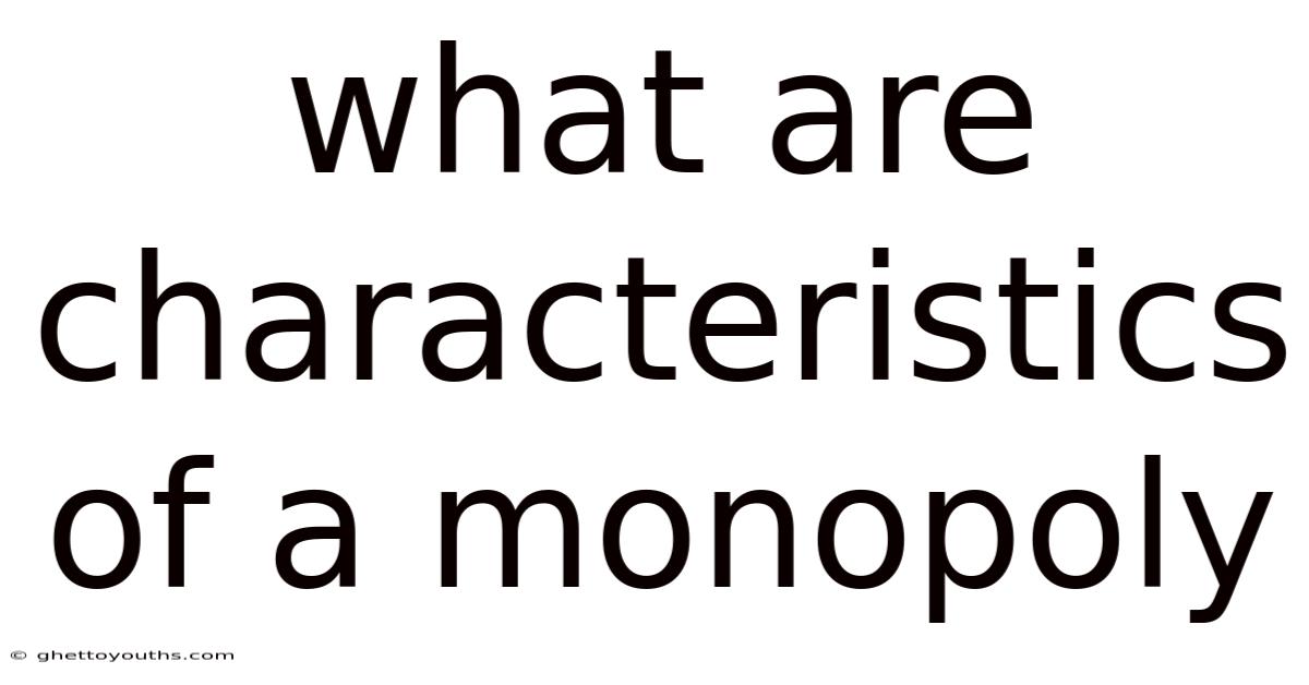 What Are Characteristics Of A Monopoly