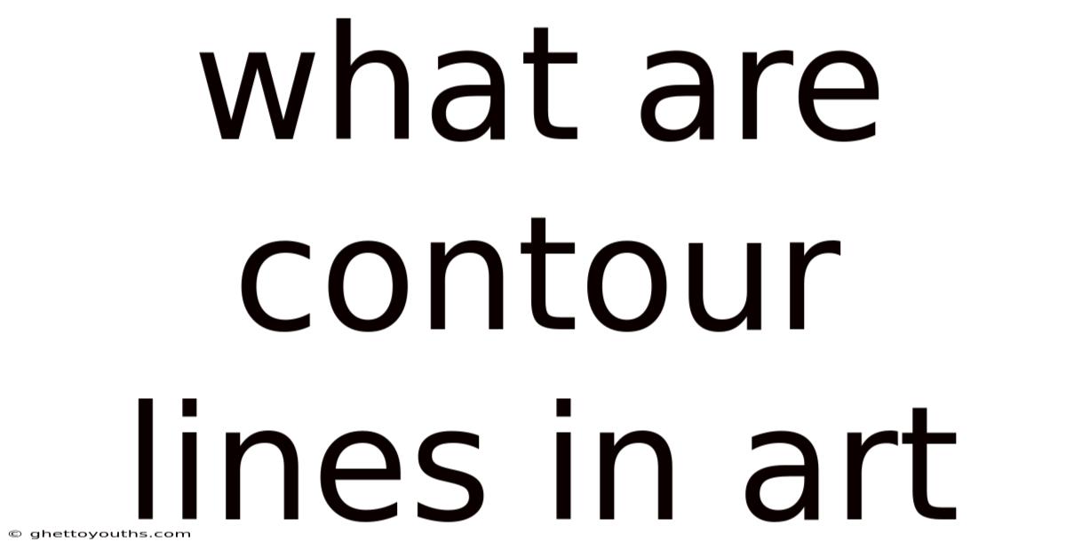 What Are Contour Lines In Art