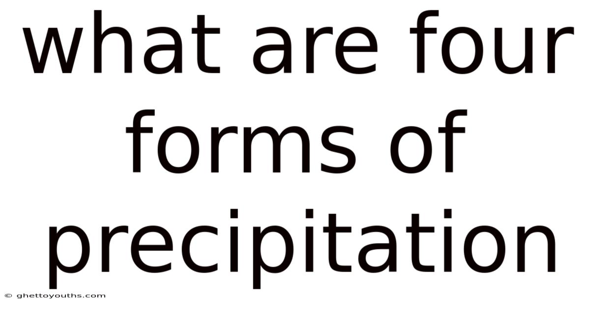 What Are Four Forms Of Precipitation