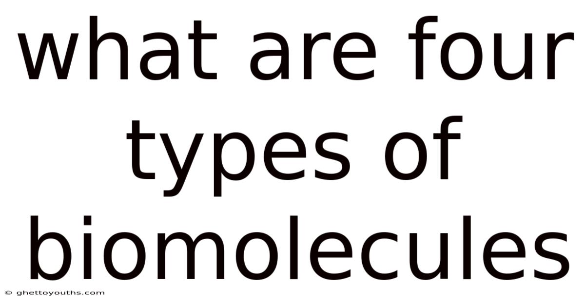 What Are Four Types Of Biomolecules