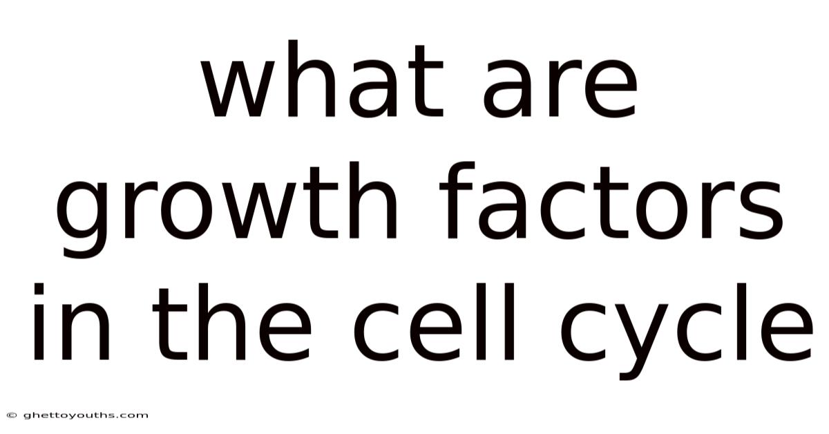What Are Growth Factors In The Cell Cycle