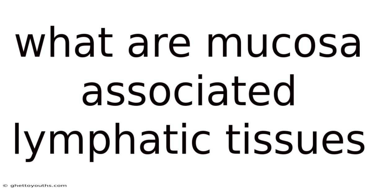 What Are Mucosa Associated Lymphatic Tissues