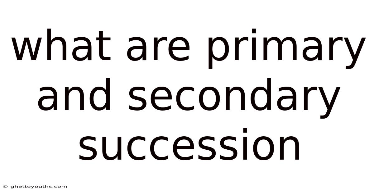What Are Primary And Secondary Succession