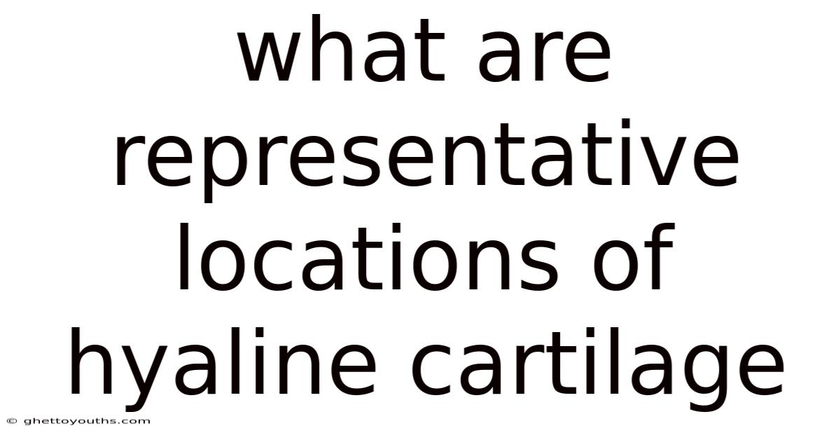 What Are Representative Locations Of Hyaline Cartilage