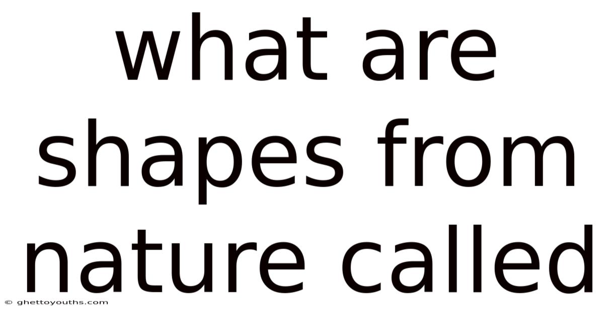 What Are Shapes From Nature Called
