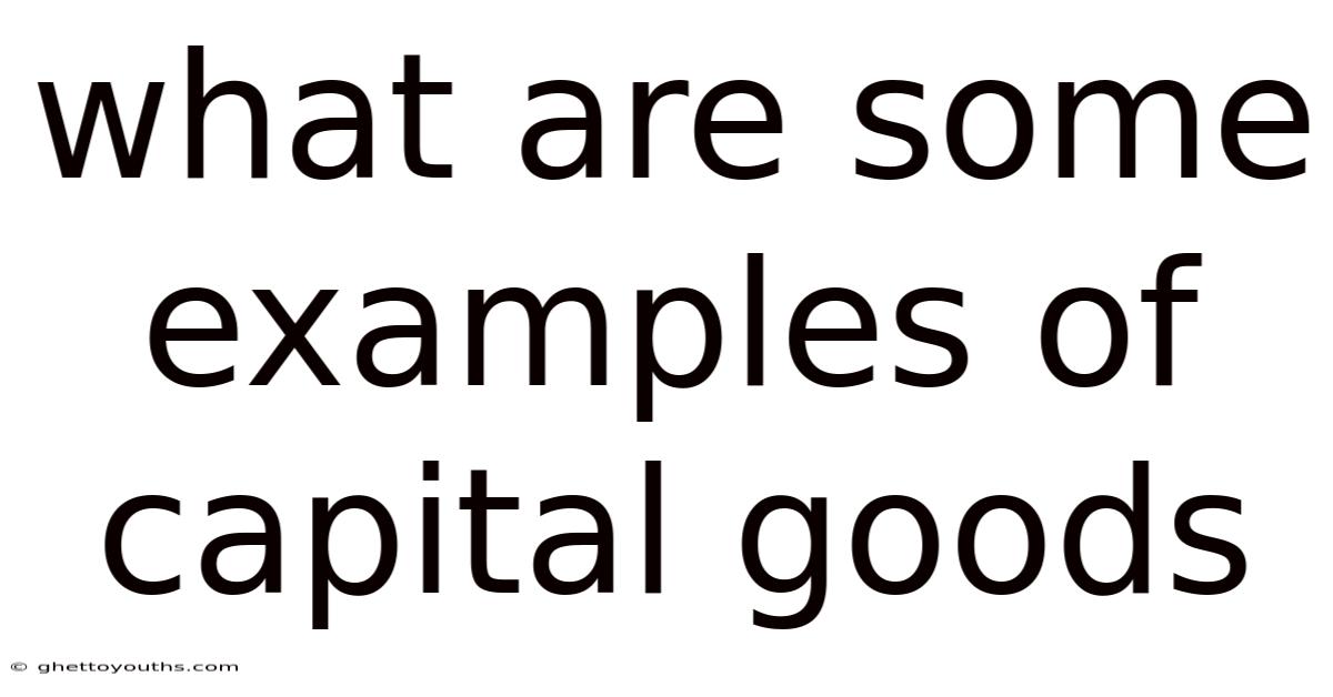 What Are Some Examples Of Capital Goods