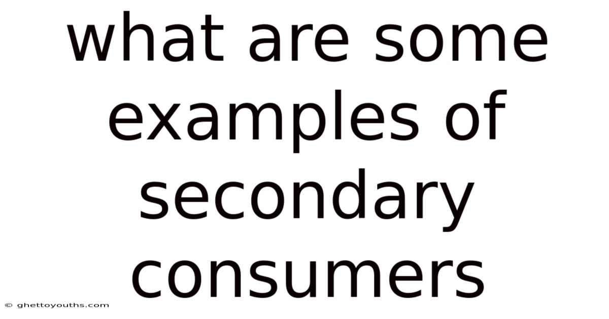 What Are Some Examples Of Secondary Consumers