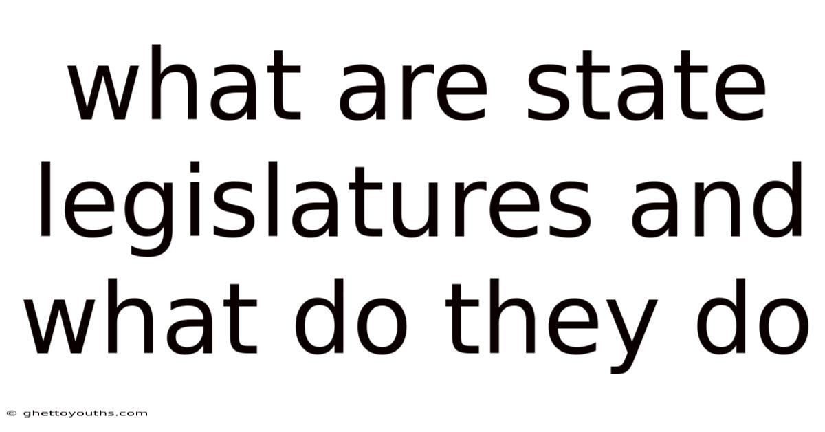 What Are State Legislatures And What Do They Do