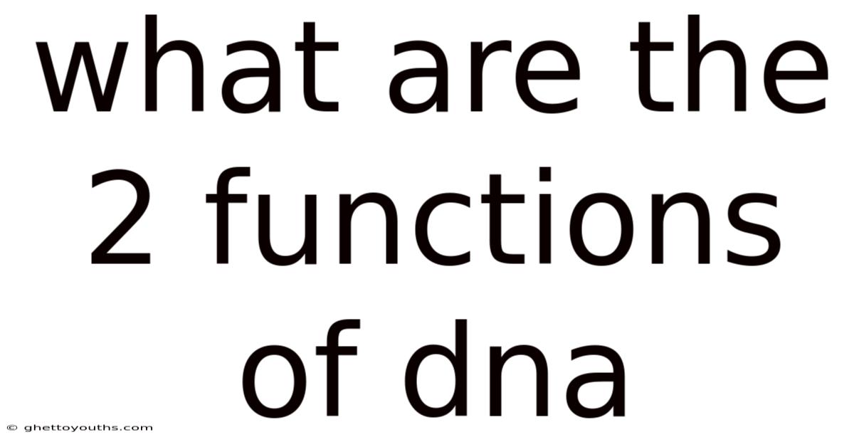 What Are The 2 Functions Of Dna
