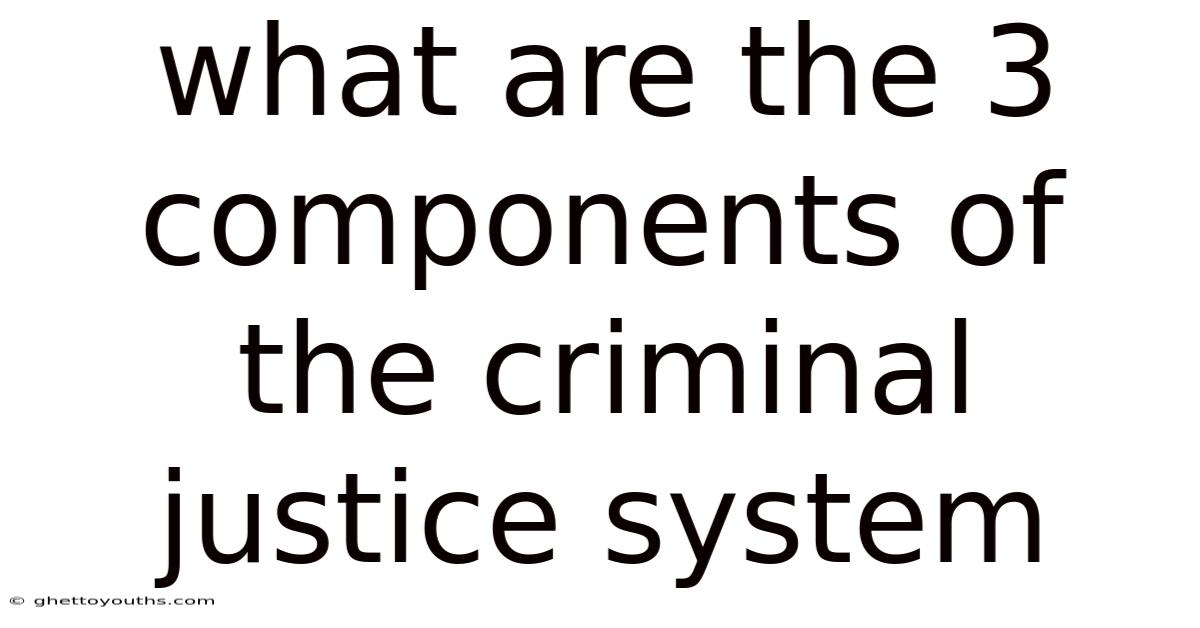 What Are The 3 Components Of The Criminal Justice System