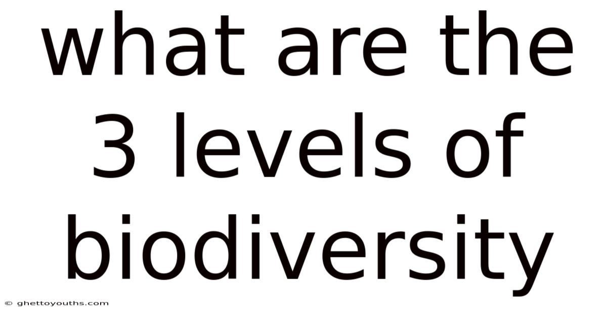 What Are The 3 Levels Of Biodiversity