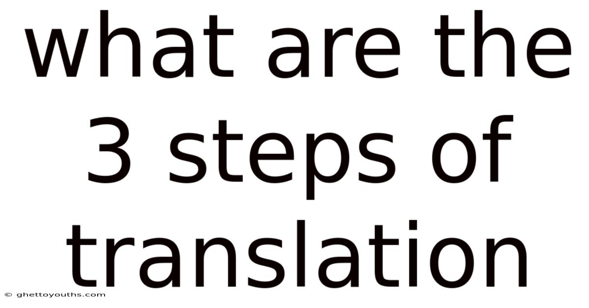 What Are The 3 Steps Of Translation