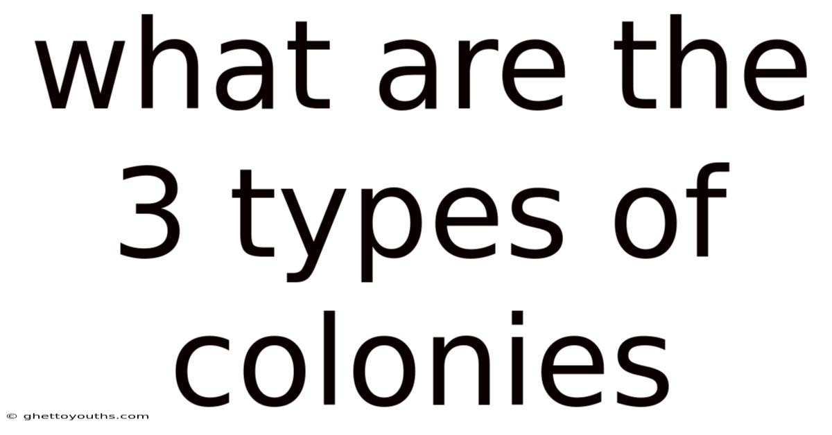 What Are The 3 Types Of Colonies