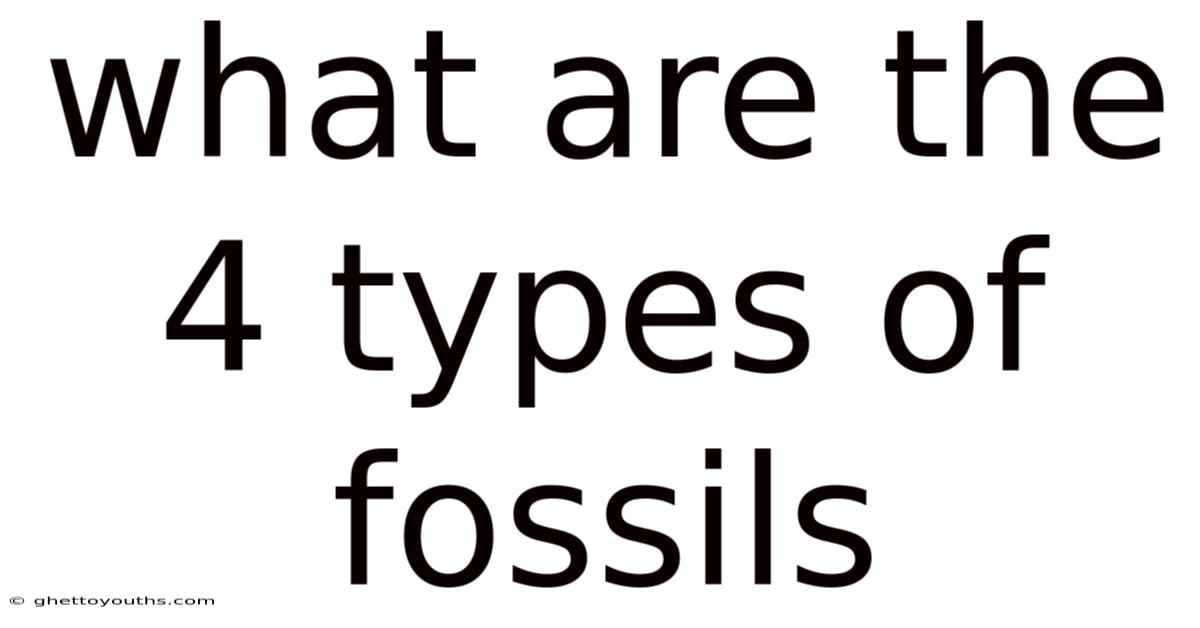 What Are The 4 Types Of Fossils