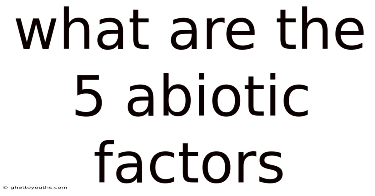 What Are The 5 Abiotic Factors