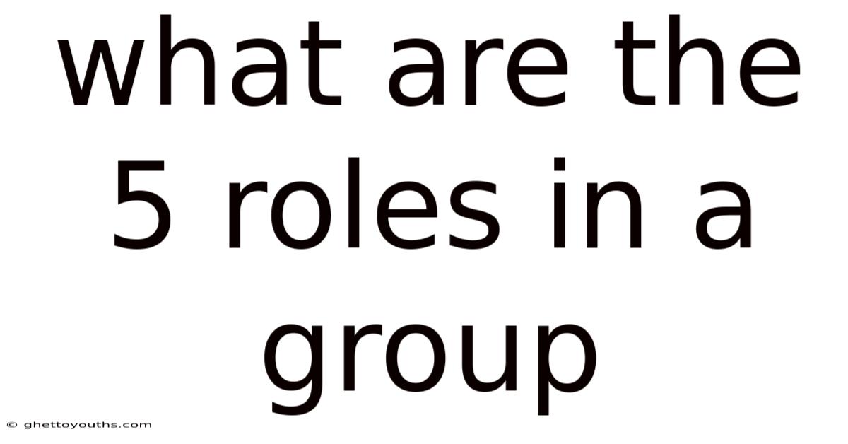 What Are The 5 Roles In A Group