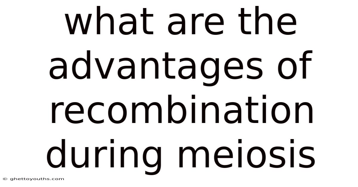 What Are The Advantages Of Recombination During Meiosis